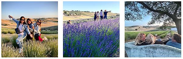Hambly Farms