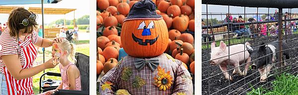 Riehm Produce Farm, LLC