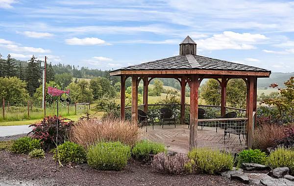 pergola with herbs around it
