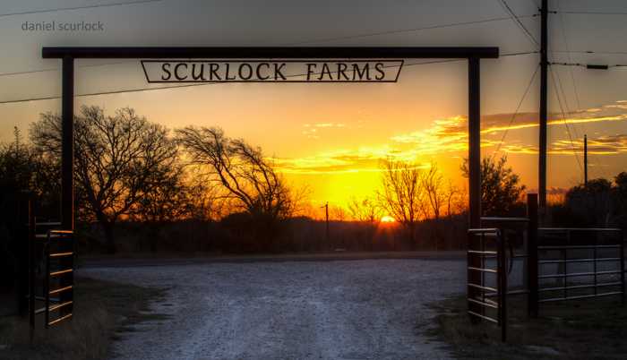 Ask Me Anything: 10 Questions About Farm Stays by Sheron Scurlock of Scurlock Farms