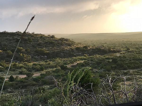 view of scrub oak and landscape