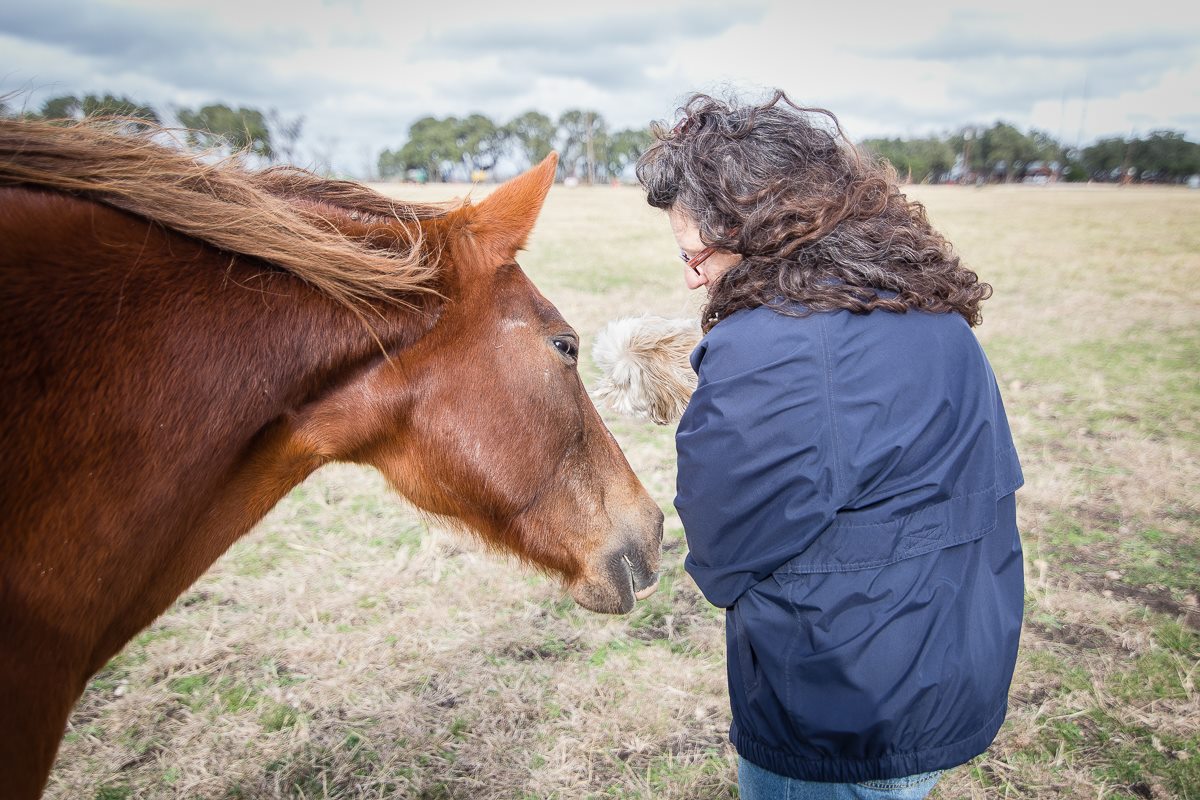 A Labor of Love at Scurlock Farms in Georgetown, TX