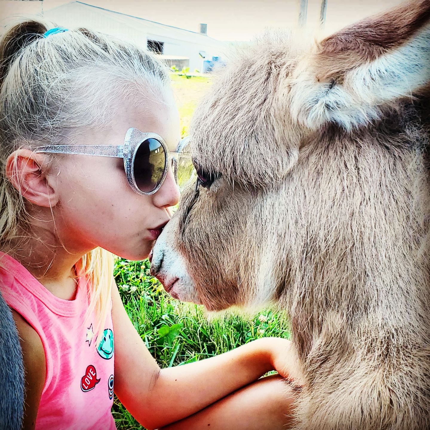 Farm and Ranch Stays - A Retreat for 2020 and Beyond