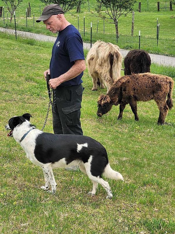 man holding cattle dog