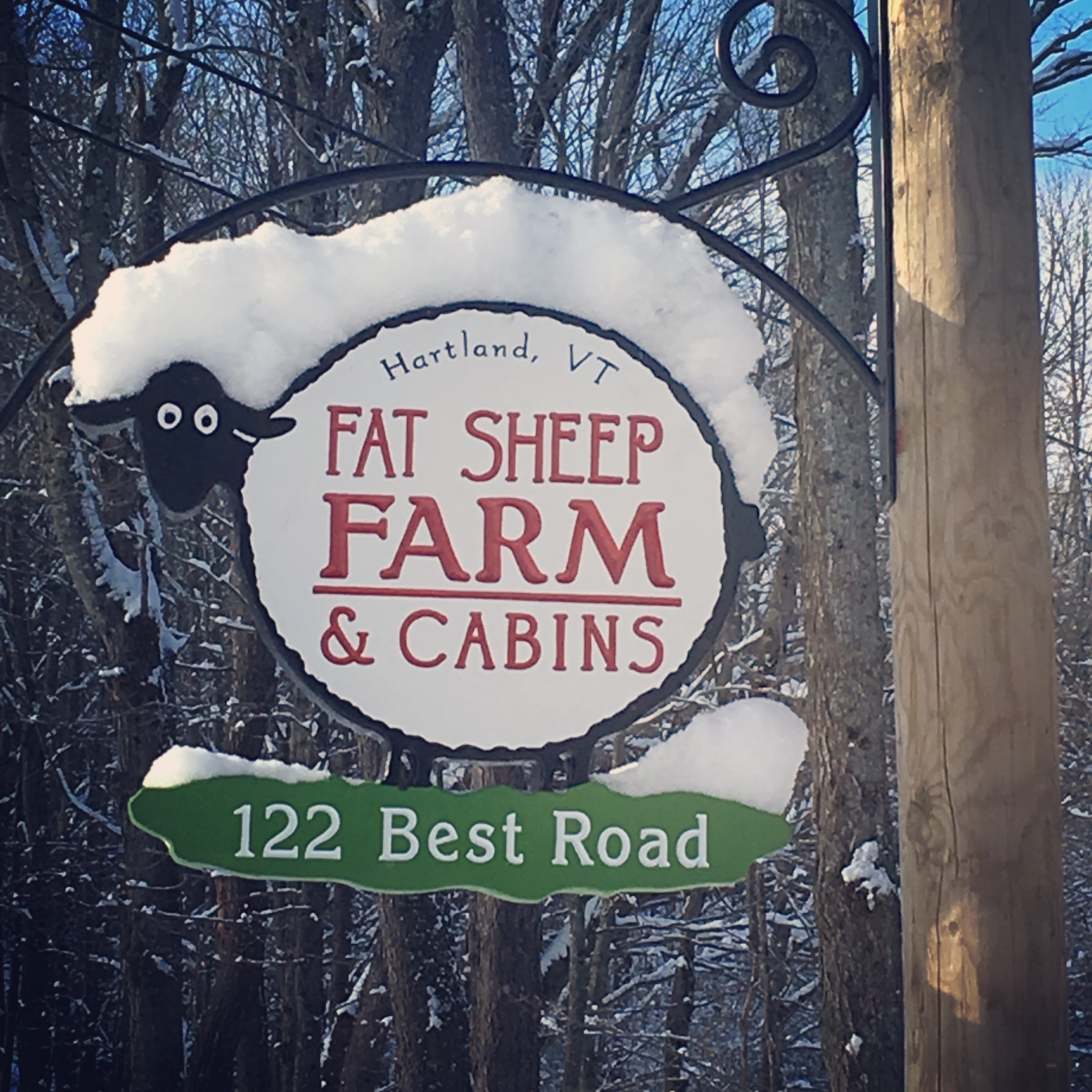 Fat Sheep Farm in Hartland, VT Offers Farm Life Up Close and Personal