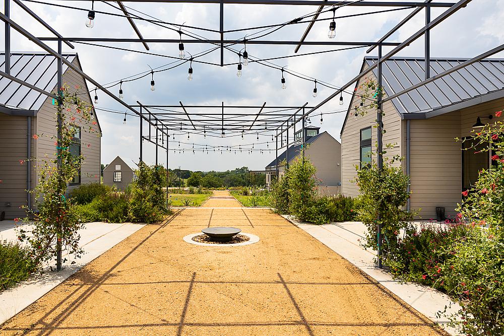 Sister Grove Farm photo 15