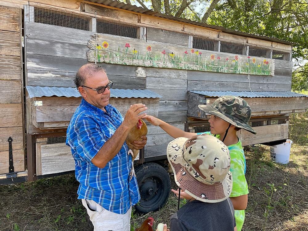 Sister Grove Farm photo 10