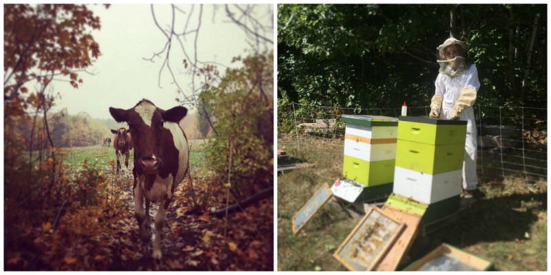 Toddy Pond Farm, Monroe, Maine