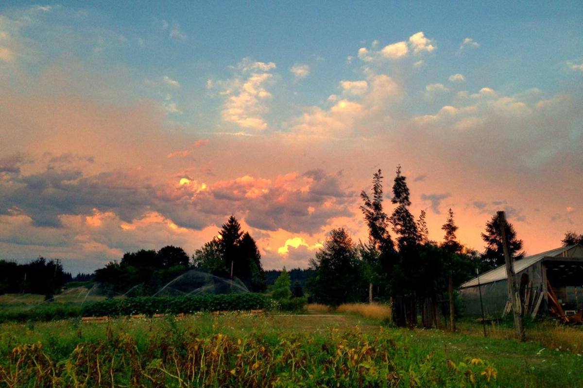 MoonRidge Farms in Beavercreek, Oregon