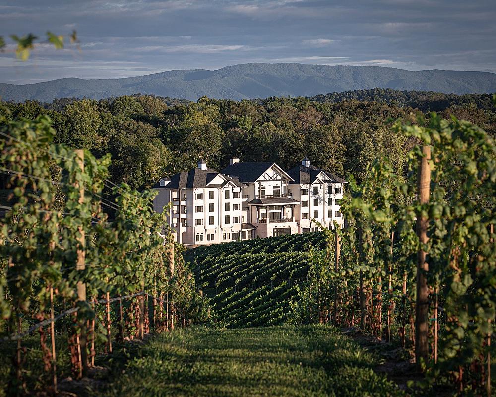 Featured Image- Nice Wonder Hotel