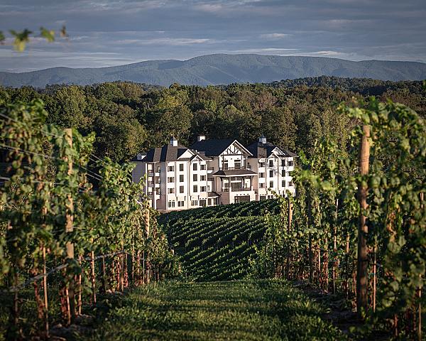 Nice Wonder Farm and Vineyards