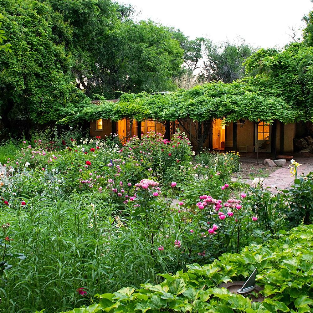 Featured Image - gardens with lighted building in background