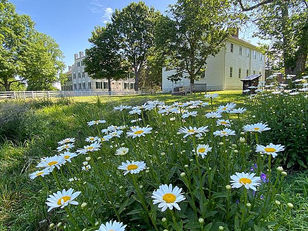 Shaker Village Farm of Pleasant Hill