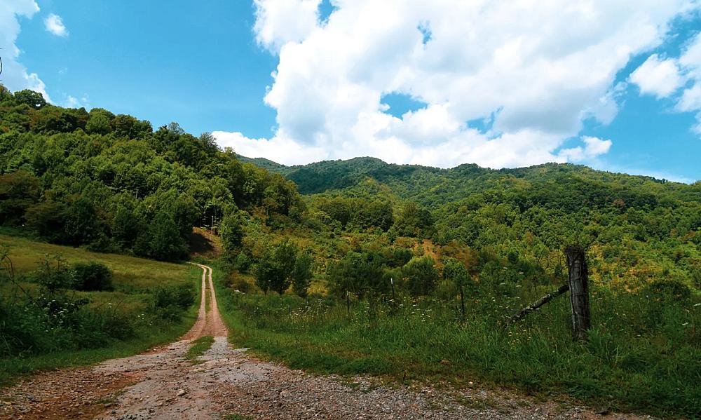 Featured Image - dirt road leading into distant hills covered with trees