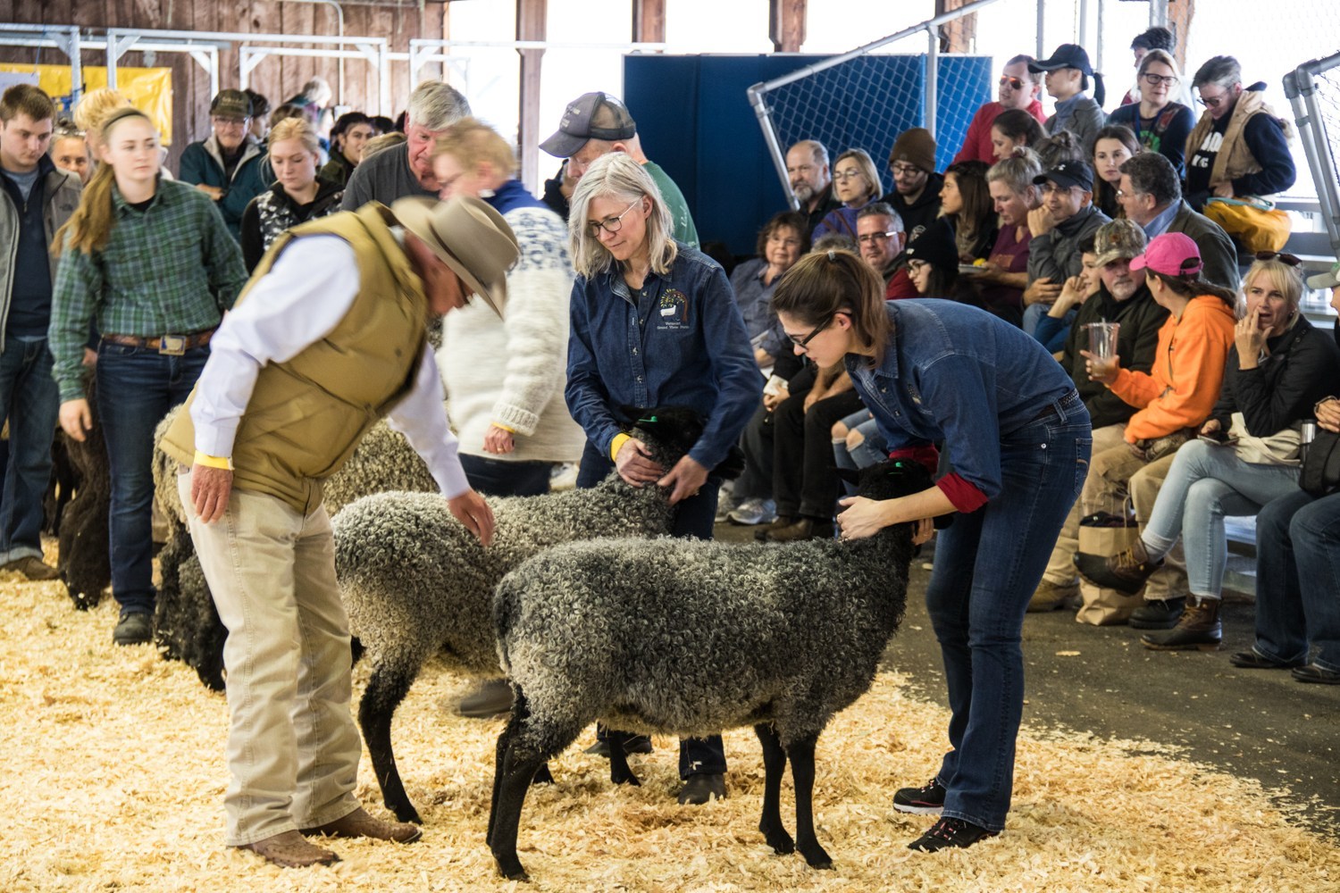 Guest Blog: Embrace Rural Living