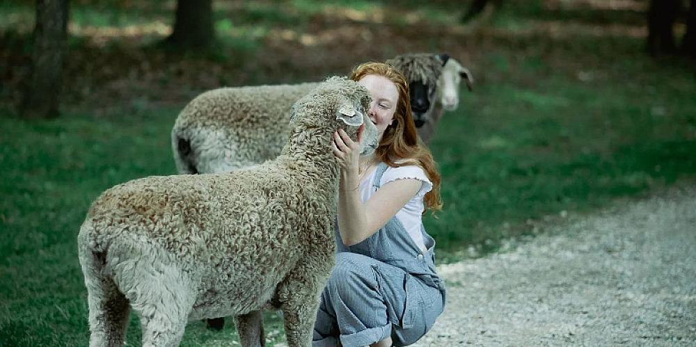 Featured Image - young woman kneeling down with a sheep