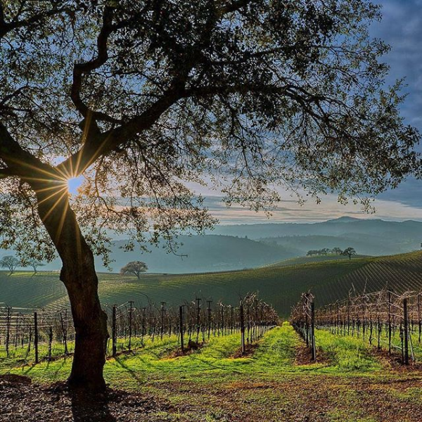 A Farmer's Spring - in Photos