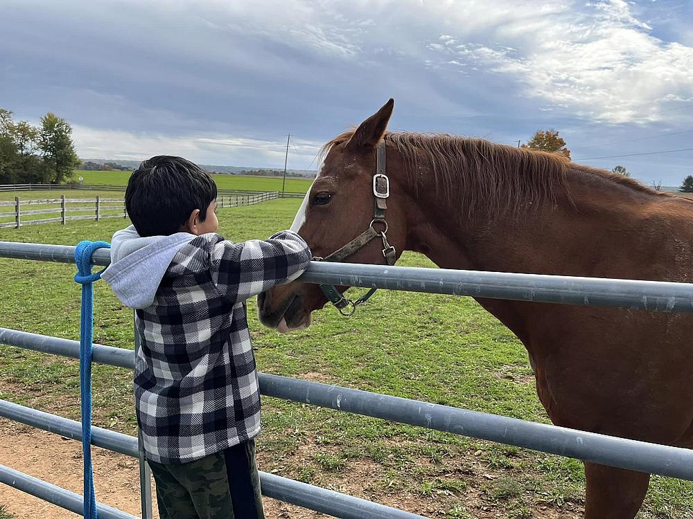 Featured Image - boy with horse