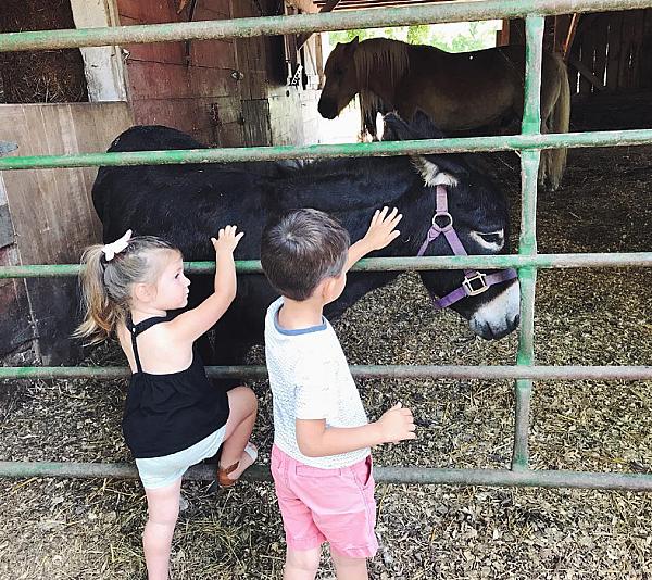 Forks Farm and Market