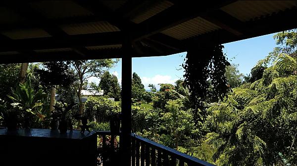 Hilo Shark's Cacao, Coffee & Vanilla Plantation