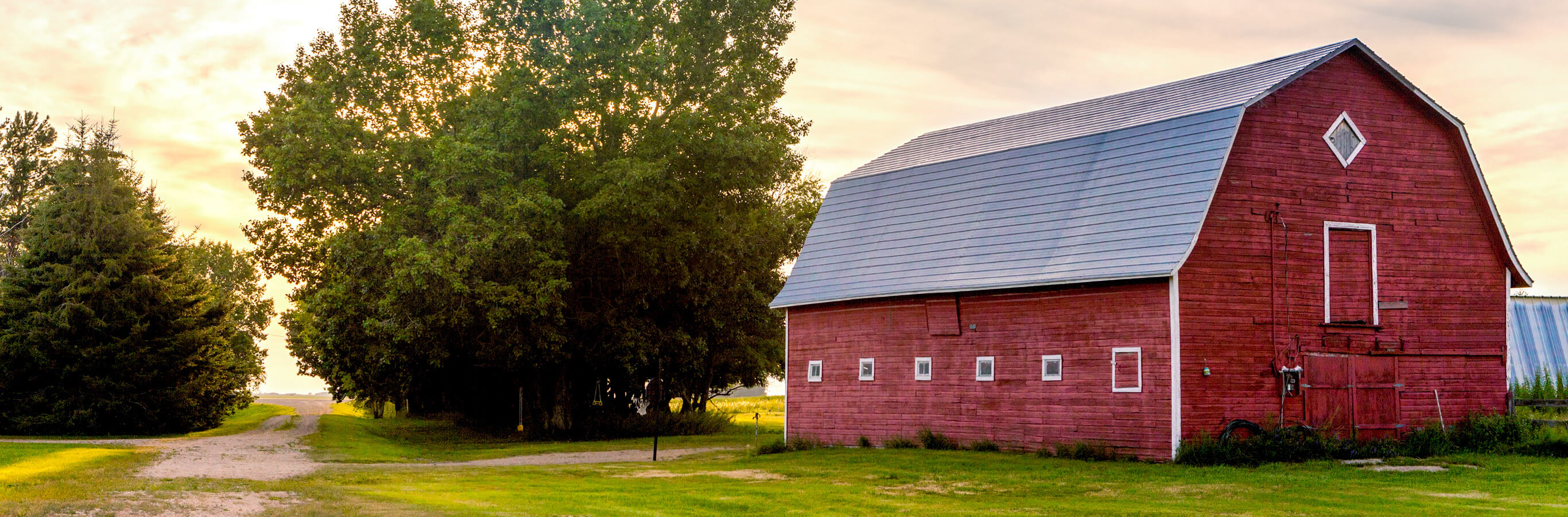 Listen: The Urban Farm Podcast with Greg Peterson