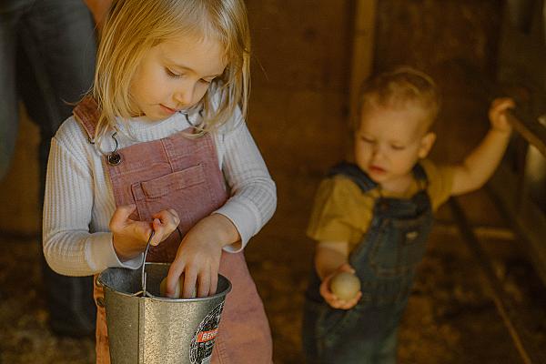 children collecting eggs
