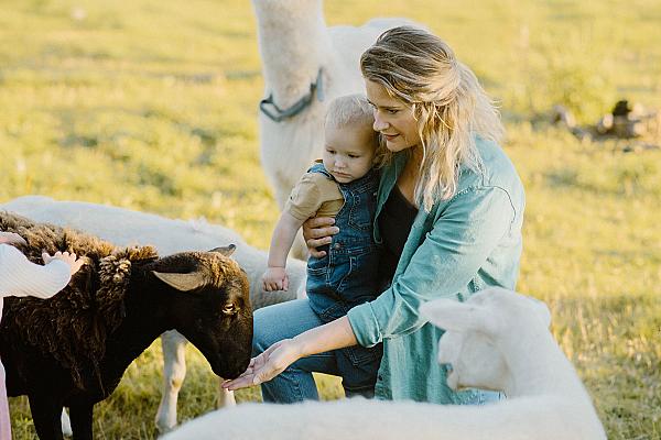 mother and small child putting hand out to a sheep to smell
