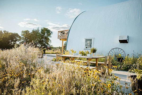 Wildflowers at the side of a white domed structure