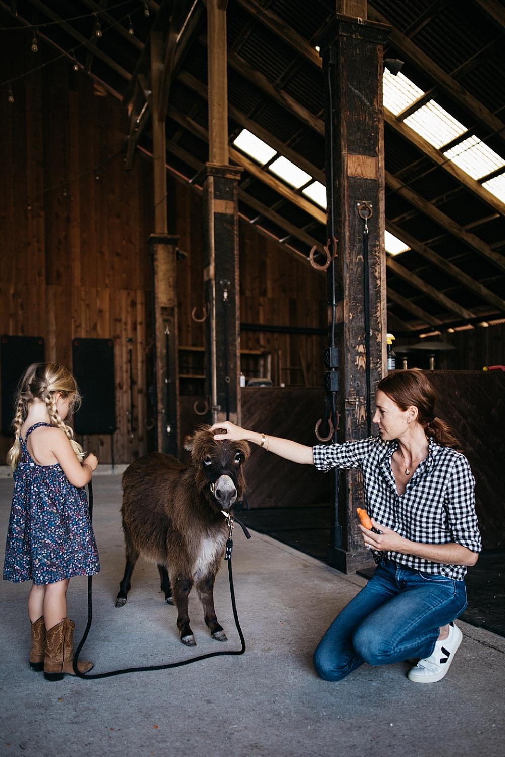Featured Image- woman and child petting mini horse in a barn