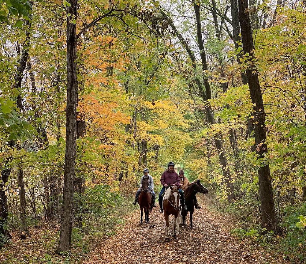 People riding horses on a trail through the forest in fall. 