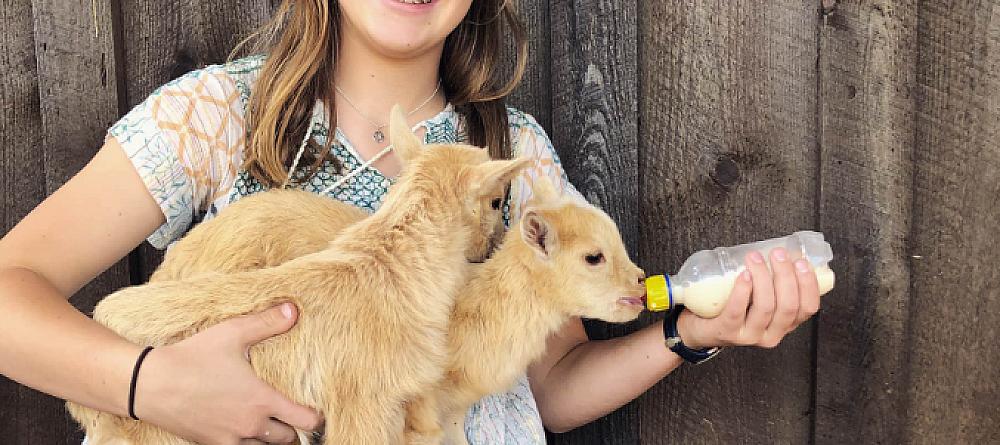 Featured Image- youth feeding two baby goats they are holding in front of a barn