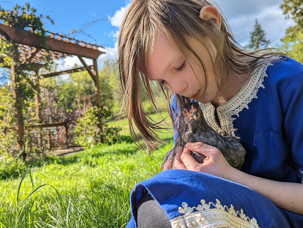 Featured Image - young girl with chicken