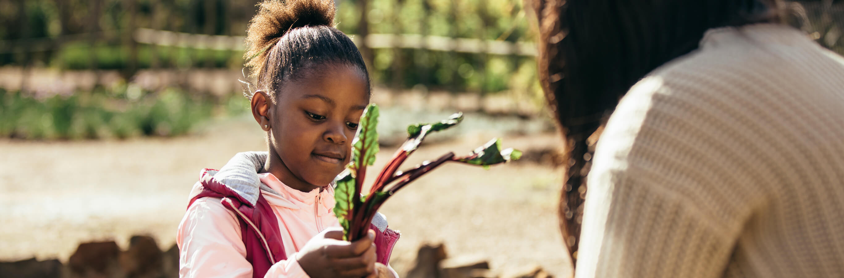 Why Stay on a Farm?