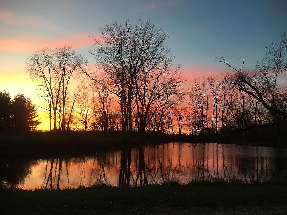 Featured Image- Sunset over tree-lined pond