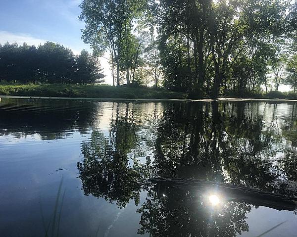 Tree lined pond with sun streaming through
