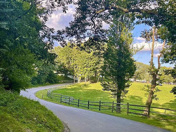 roadway leading out of site lined with wood split rail fence for pasture
