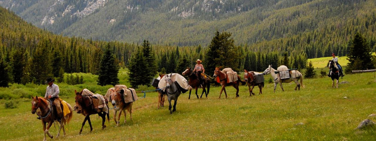 Combine a trip to a national park or forest with your farm or ranch stay