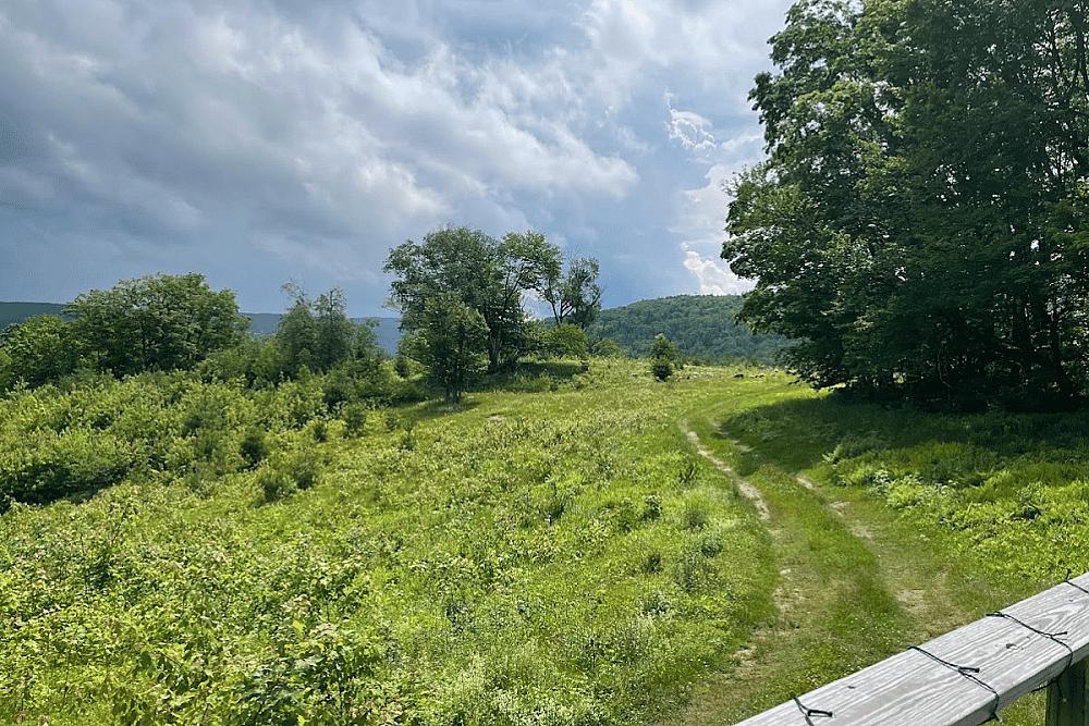 Featured Image - view across green pastureland