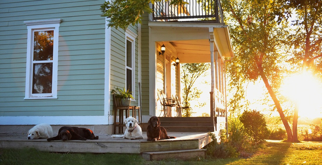 Netherfield Natural Farm: A Rural Agrarian Experience