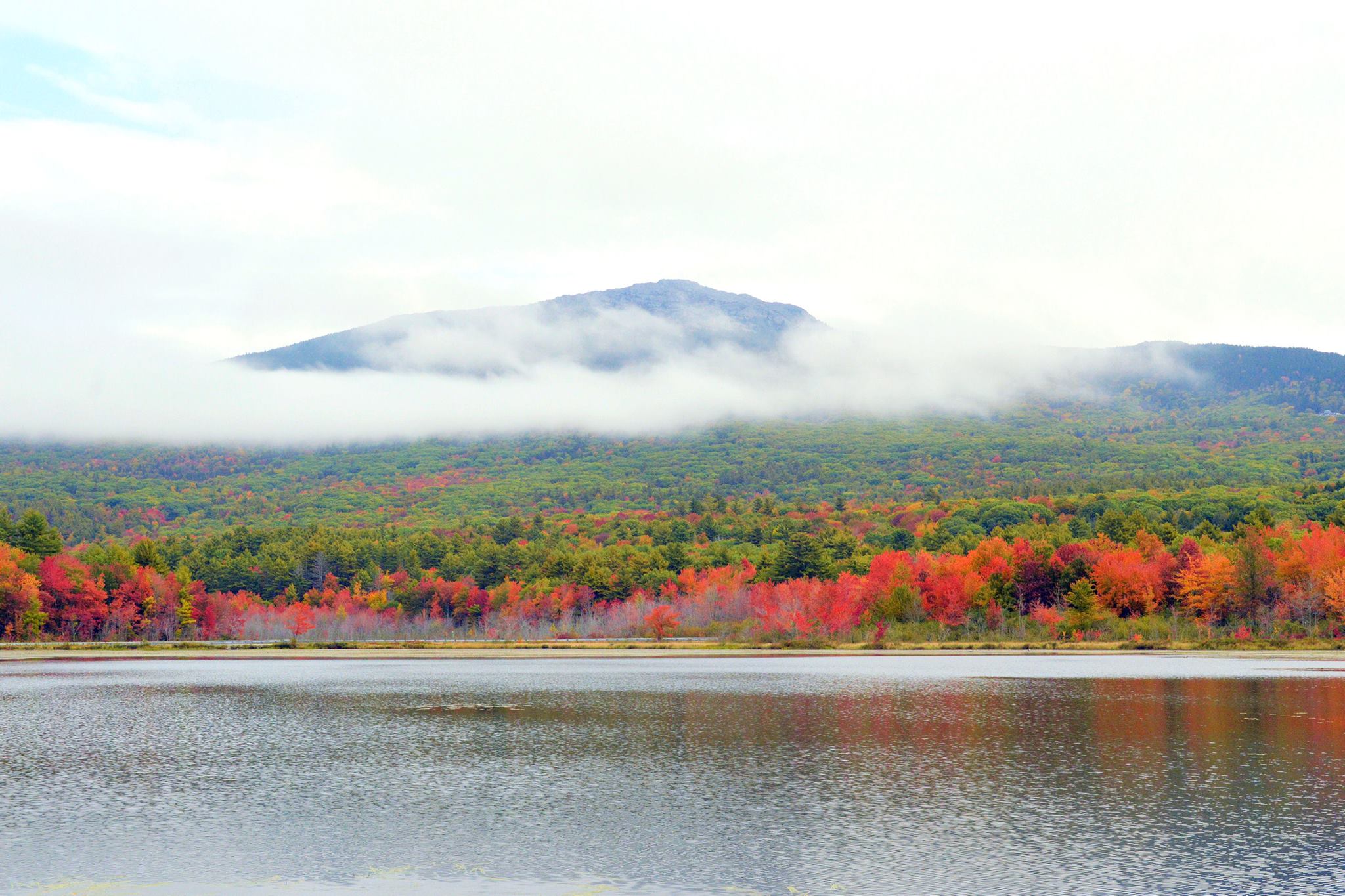 Thanksgiving on the Farm