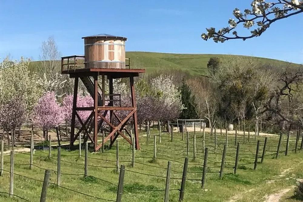 Featured Image - old water tank on wooden platform in the middle of a fruit orchard