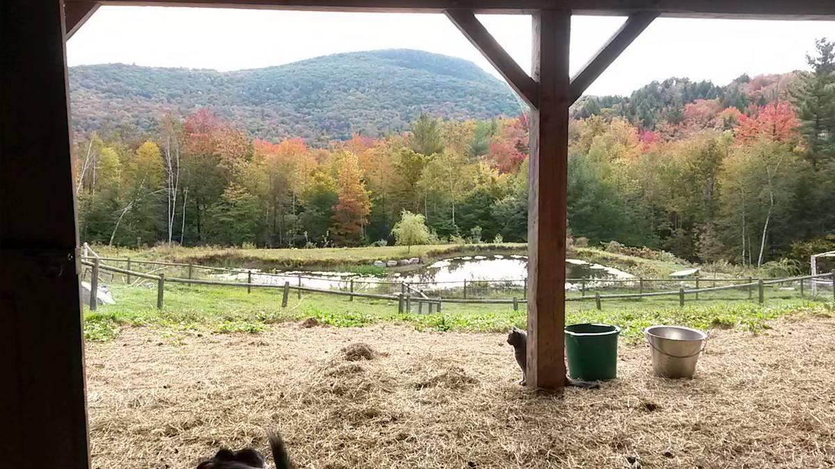 Cold Moon Farm: a Vermont farm stay with quality cuisine and luxurious accommodations