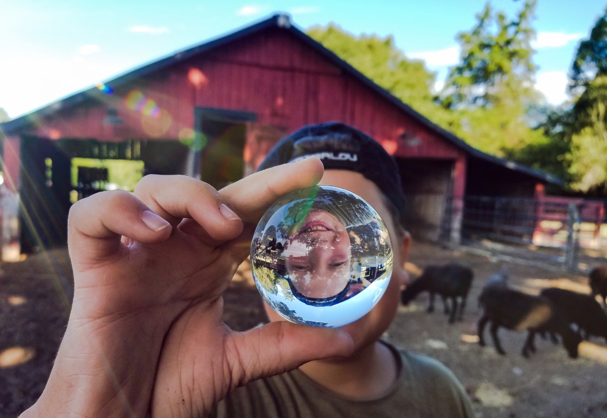 Stillwaters Farm: Escape the hustle and bustle at this farm stay in the heart of West Tennessee