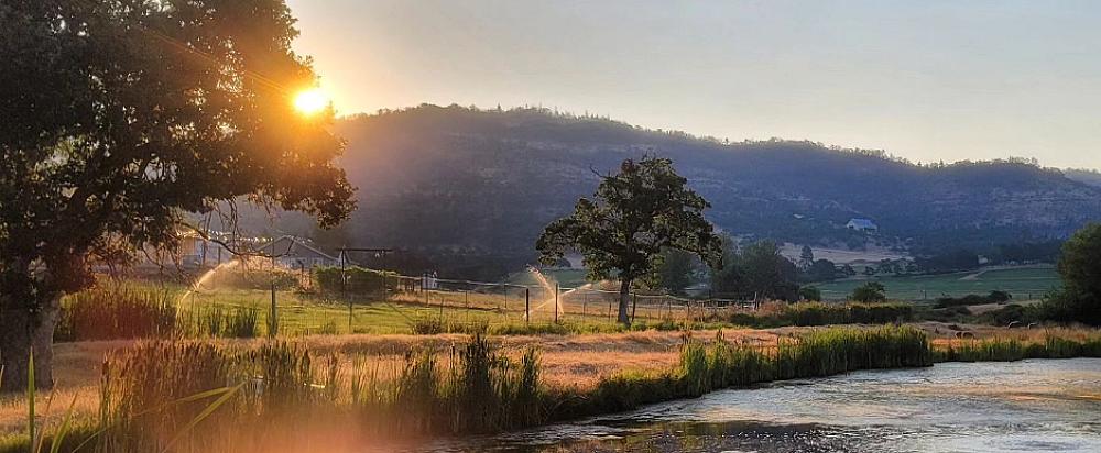 Featured Image - river running beside an irrigated field