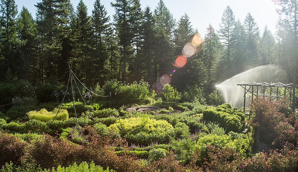 Featured Image- spiral herb garden at the farm and retreat center