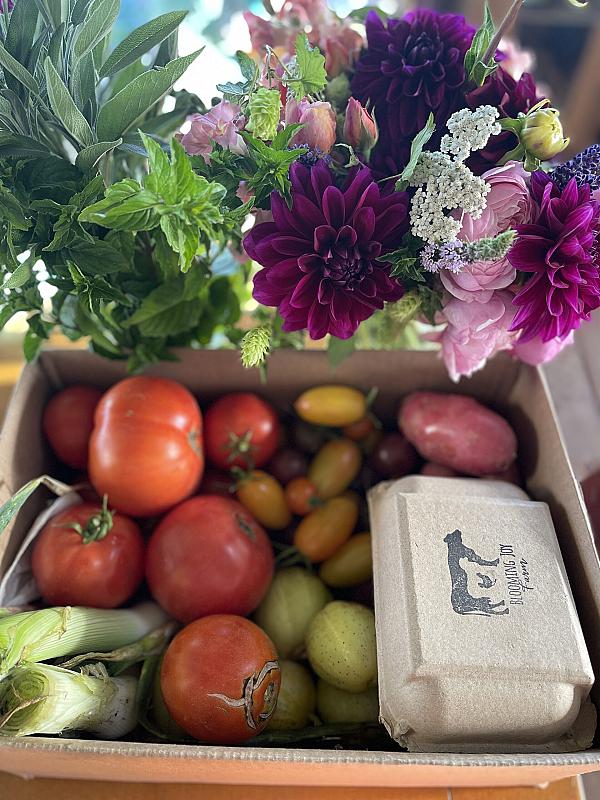 tomatoes, salad greens, eggs, in cardboard box