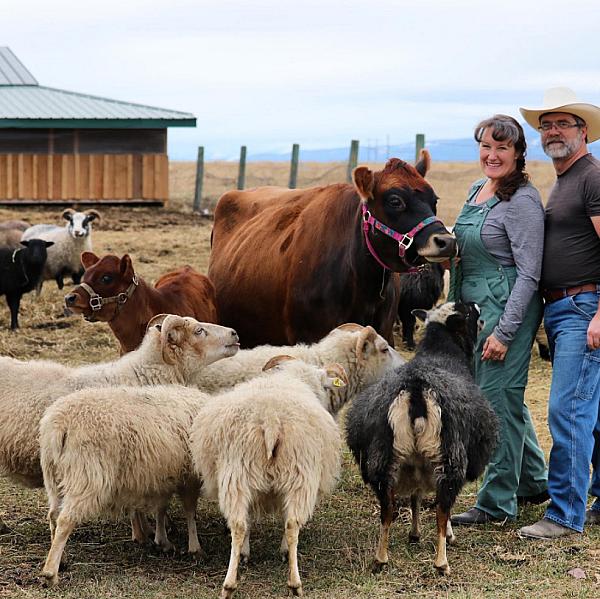 Owner hosts at Blooming Joy Farm with sheep and cows