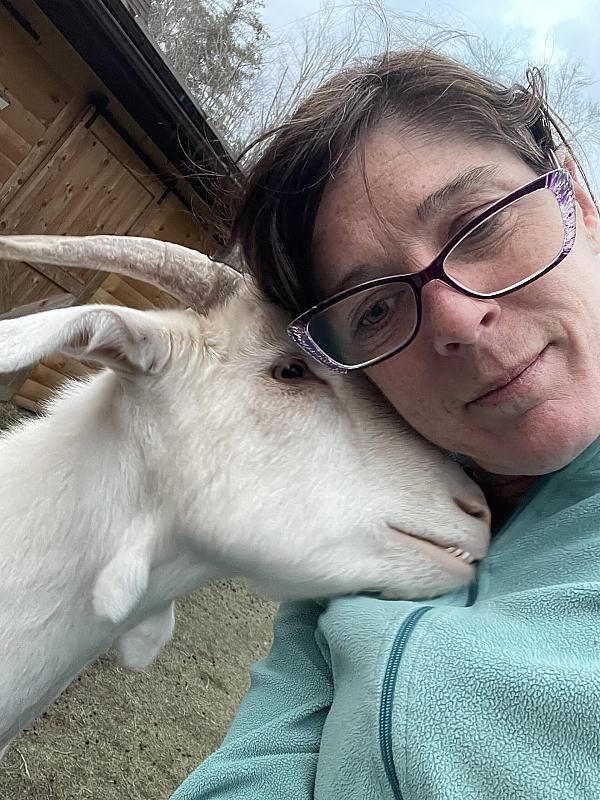 goat resting head on photographer's shoulder