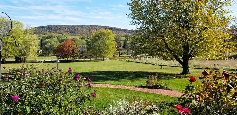 Yard with gardens, trees, flowers and a walkway with hills in the distance. 