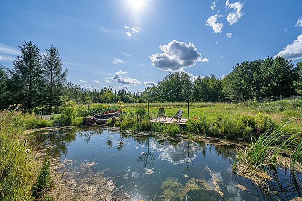 Hammarlund Nursery and Vineyard